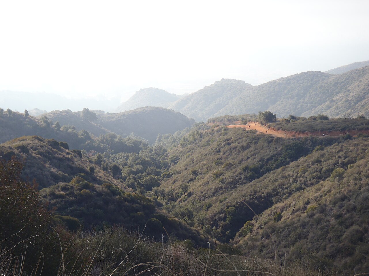Fire roads in the Claremont hills
