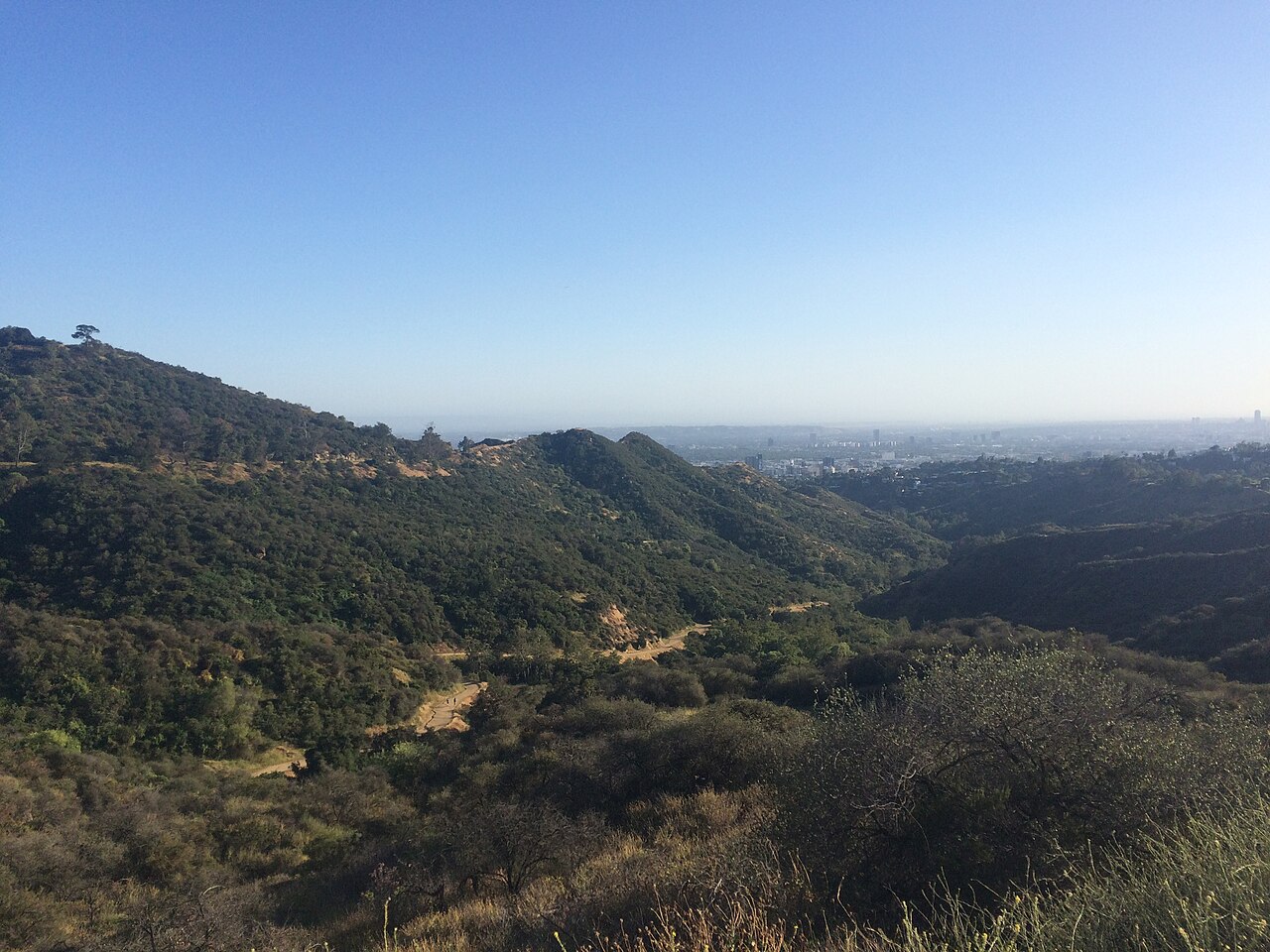 Hills and the distant Los Angeles skyline seen near Mount Hollywood Drive