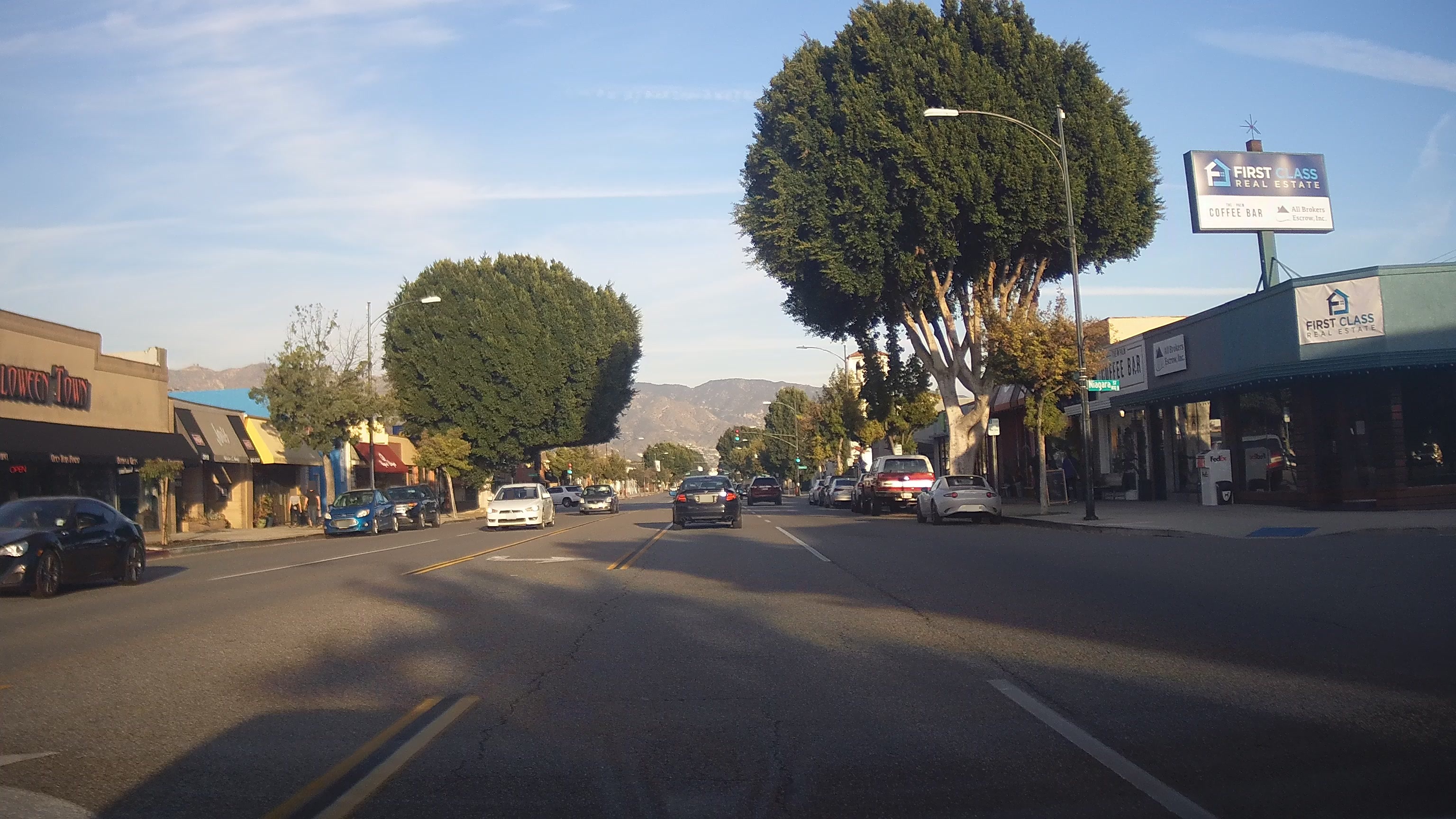 Palm Coffee Bar on Magnolia Boulevard