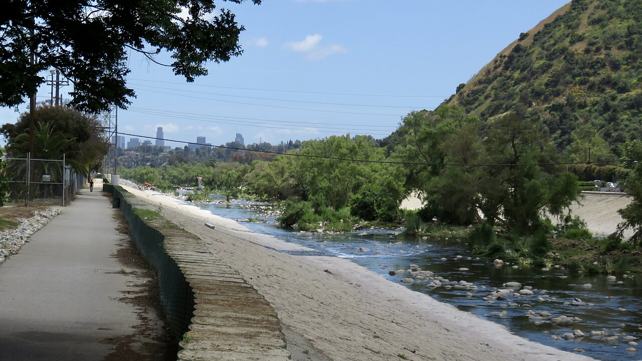 Vegetated river channel seen from the east bank near Colorado Street, with the opposite-bank corridor beyond