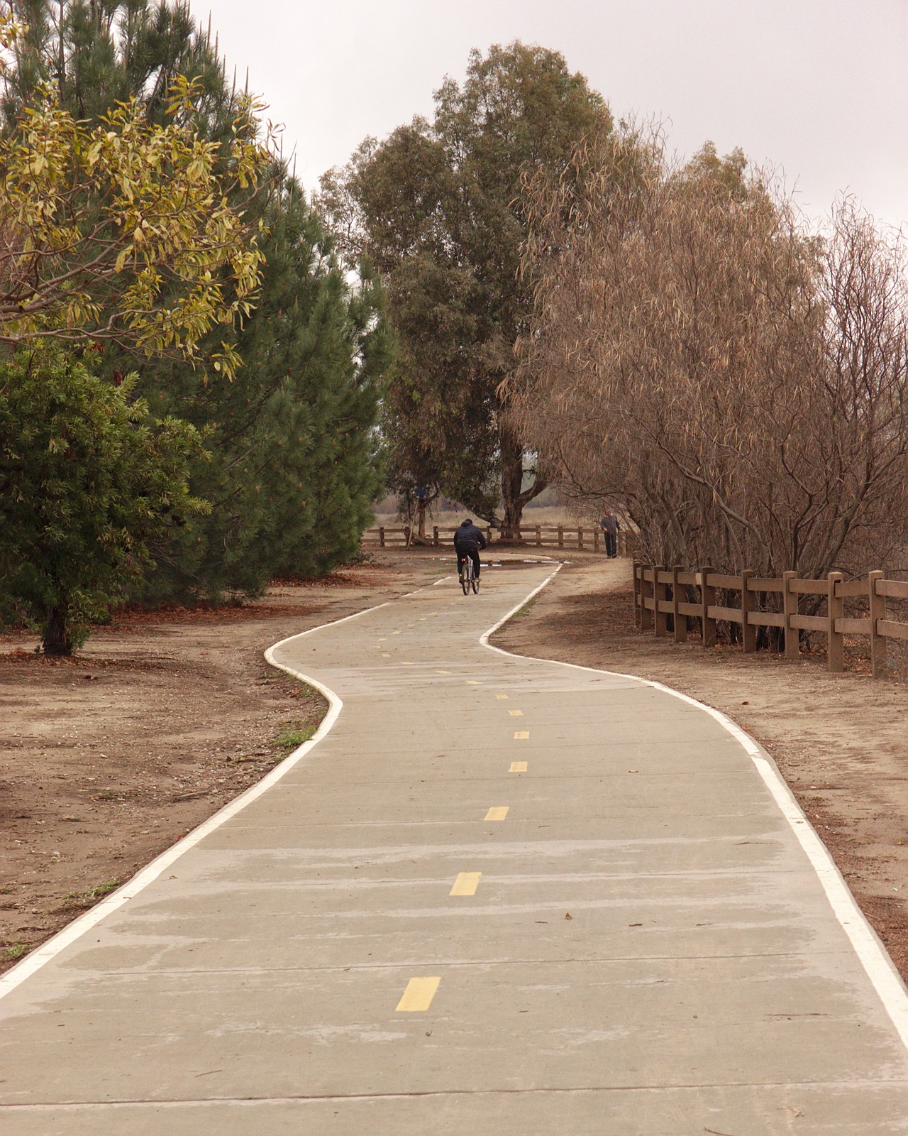 A cyclist on the curving paved path beside Woodley Avenue in Sepulveda Basin